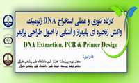 کارگاه تئوری و عملی استخراج DNA ژنومیک، واکنش زنجیره ای پلیمراز (PCR) و آشنایی با اصول طراحی پرایمر برگزار می شود